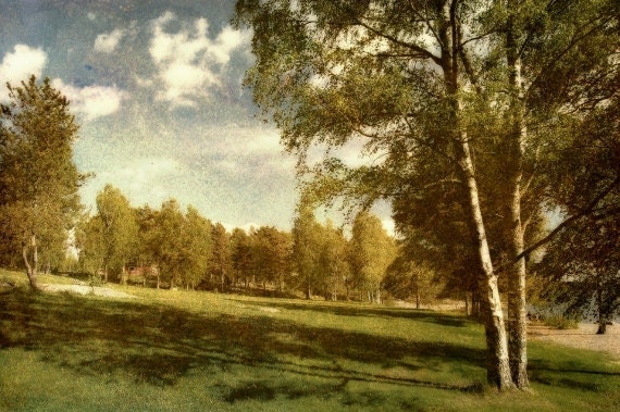 Rustic Landscape in Sweden - Nature Photography - Vintage Inspired Wall Decor - 6x10