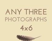 Set of any THREE 4x6 photographs by Kanelstrand