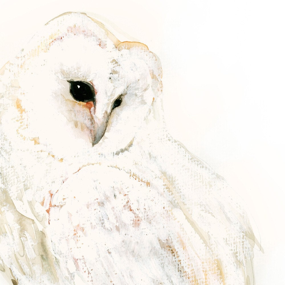 Owl Art -Snow Owl Fine Art Print