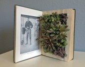 Upcycled Vintage Book Planter for Succulents or Flowers