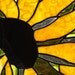 Black-Eyed Susan Stained Glass Panel