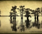 Fine Art Photography Print-Rustic Home Decor-Texas Landscape Fine Art Print