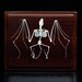 Real bat skeletons