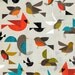 Birds 11"x14"