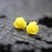 Yellow Rose Stud Earrings Jewelry Gift for Her. Free Shipping.