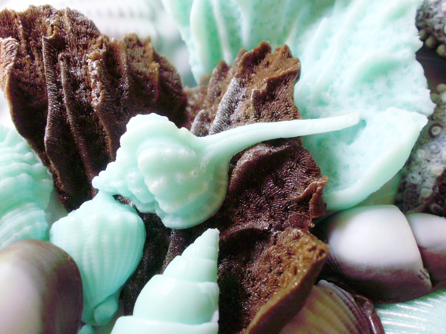 SEA SHELL SOAP, A Pocket Full of Shells Scented in Eucalyptus Spearmint, Vegetable Based Vegan Friendly