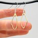 Moth Wing Earrings