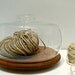 Large Glass Cloche - Display - Glass Dome - Terrarium - Home Decor