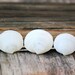 White Seashell Bobby Pin Set, Shell Hair Pin, Coastal Wedding, Mermaid Hair