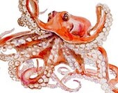 Octopus Original Watercolor painting fine art artwork wall home decor ocean sea animal illustration 13x19