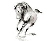 Watercolor Painting horse 13x19 original black horse pinitng