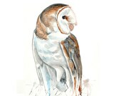 Owl Painting 13x19 Original watercolor Panting Owl