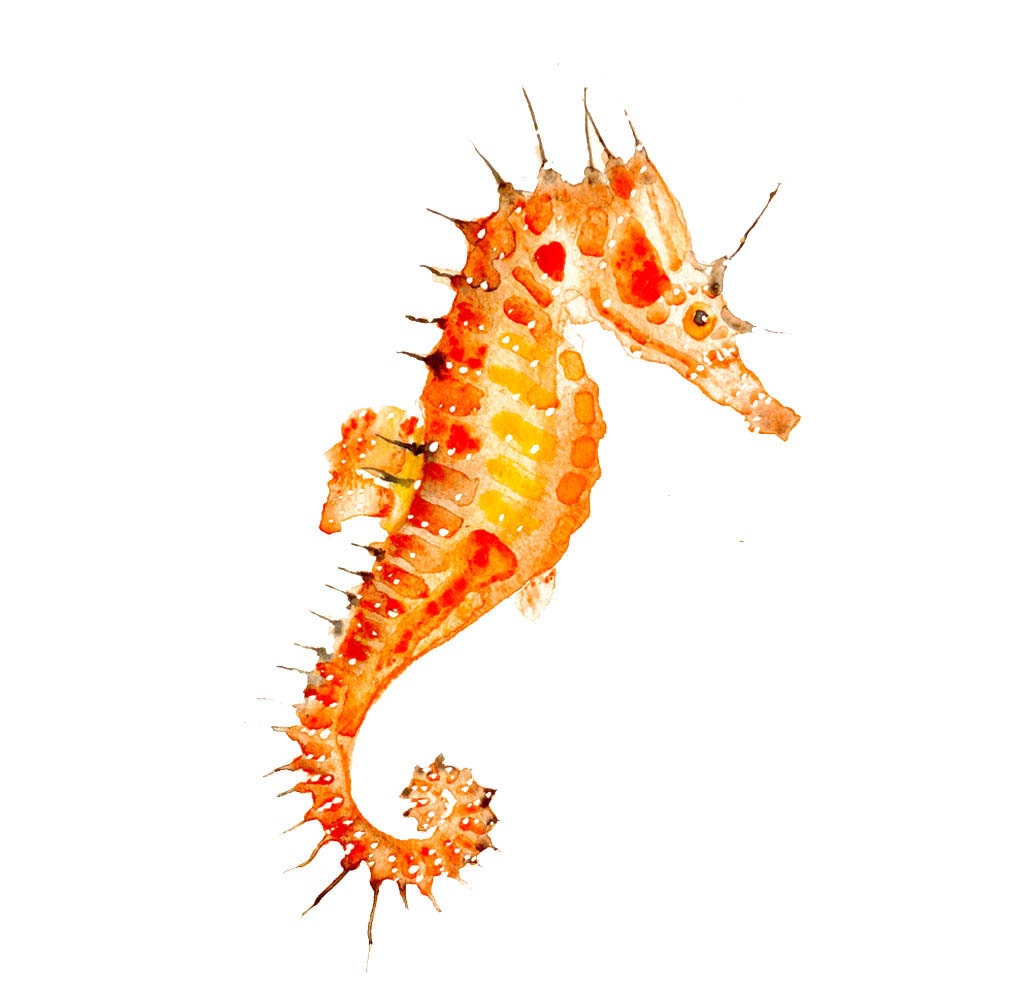 Sea horse Original Watercolor painting fine art artwork wall home decor ocean sea animal illustration 11x14