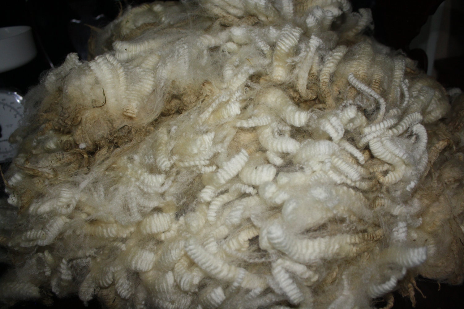 Raw Unwashed Coopworth Yearling Fleece
