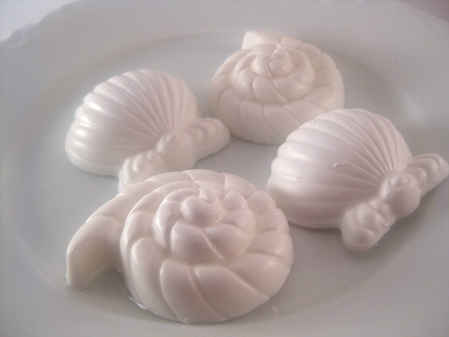Guest Soap Set Sea Shell Soap Natural Glycerin Soap by PuurBody