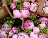 5x5 peonies in zurich limited edition