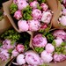 5x5 peonies in zurich limited edition