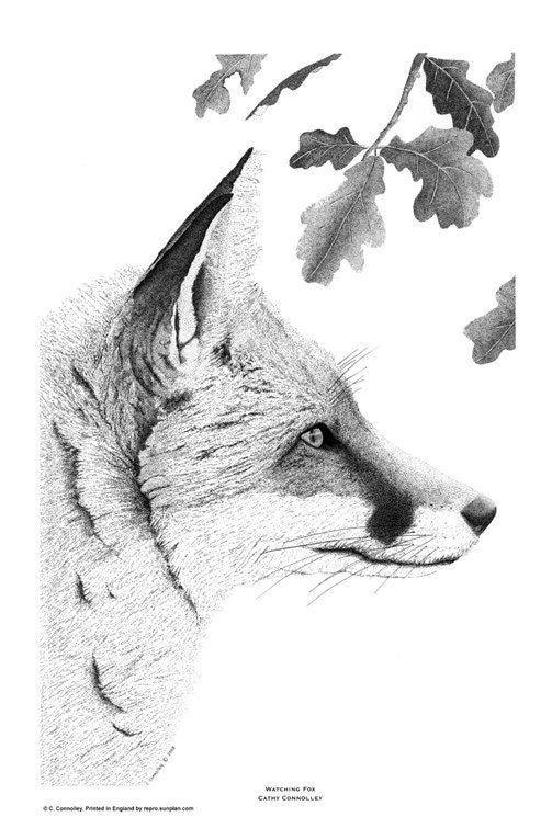 Art Illustration Drawing Traditional Art Print Black And White Art Fox Art Animal Art Monochrome Art  Pen And Ink Pointillism