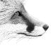 Art Illustration Drawing Traditional Art Print Black And White Art Fox Art Animal Art Monochrome Art  Pen And Ink Pointillism