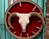 Wagon Wheel Skull - Santa Fe, New Mexico 8x8 Fine Art Giclee Print