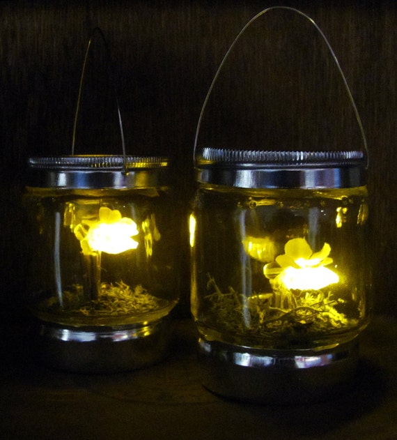 2 Firefly Lanterns For Amber