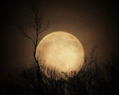 full moon photograph, a celestial night sky 8x8 fine art photograph print