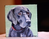 Pet Portrait 6"x6" Custom  Dog Painting from Photo