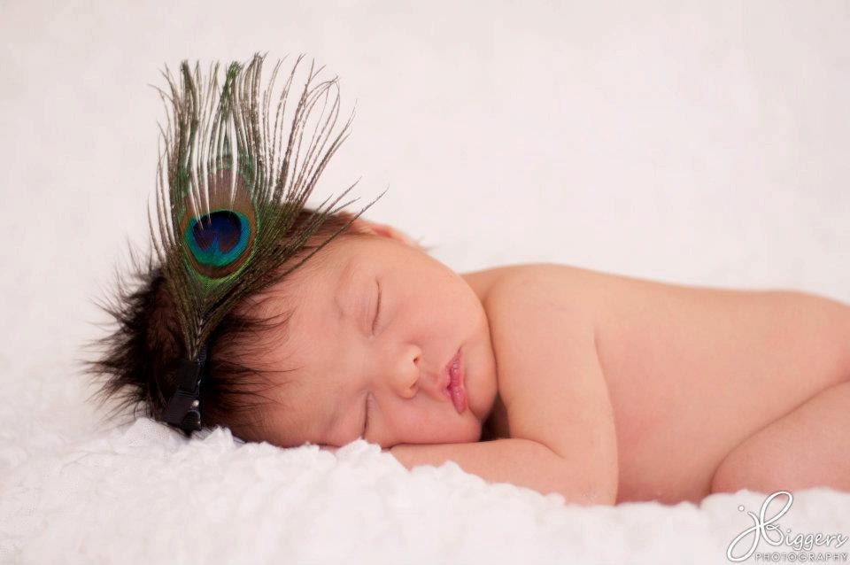 Peacock feather Hair clip