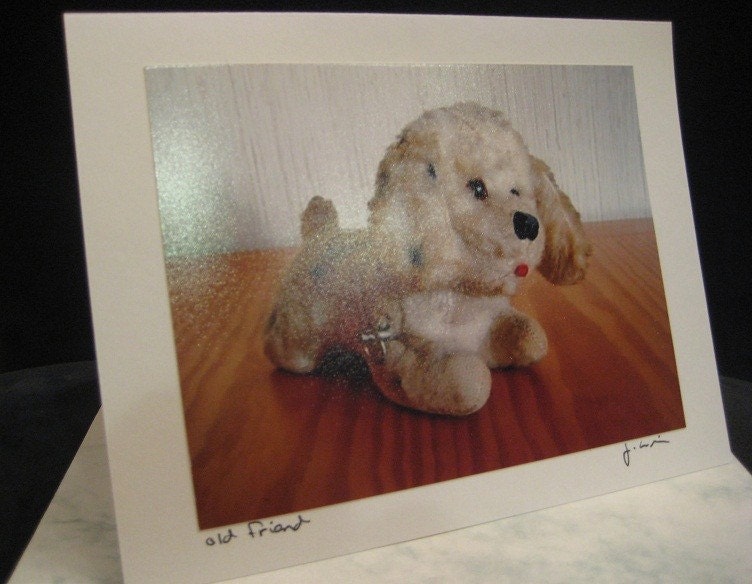 Old Friend - Blank Greeting Cards