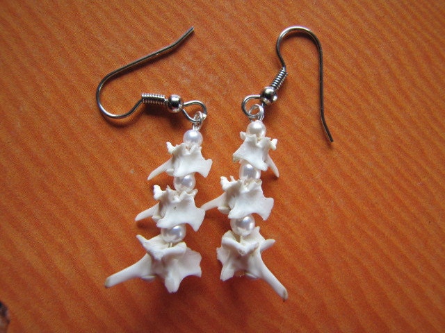 Earrings with rattlesnake vertebrae and pearls (M)