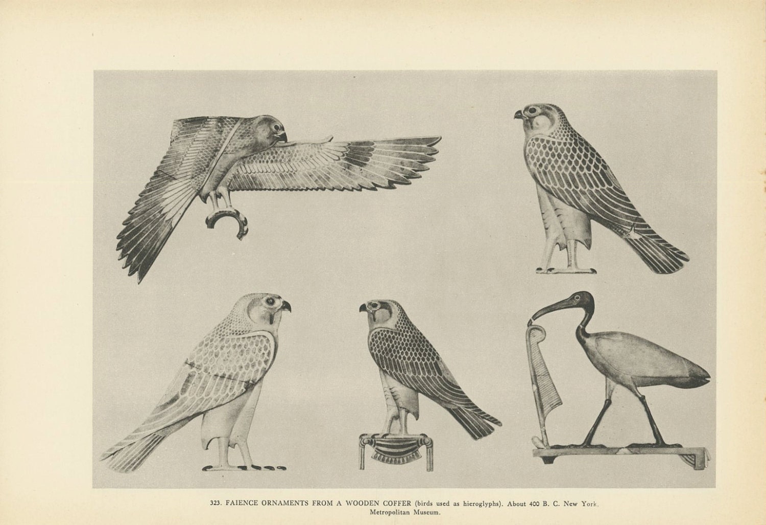 Egyptian Birds Used In Hieroglyphics Falcon Crane Art by KingPaper