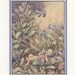 Forget Me Not Garden Fairy, Flower Fairies Of The Countryside, Cicely Mary Barker, Antique Print, USA, 1989