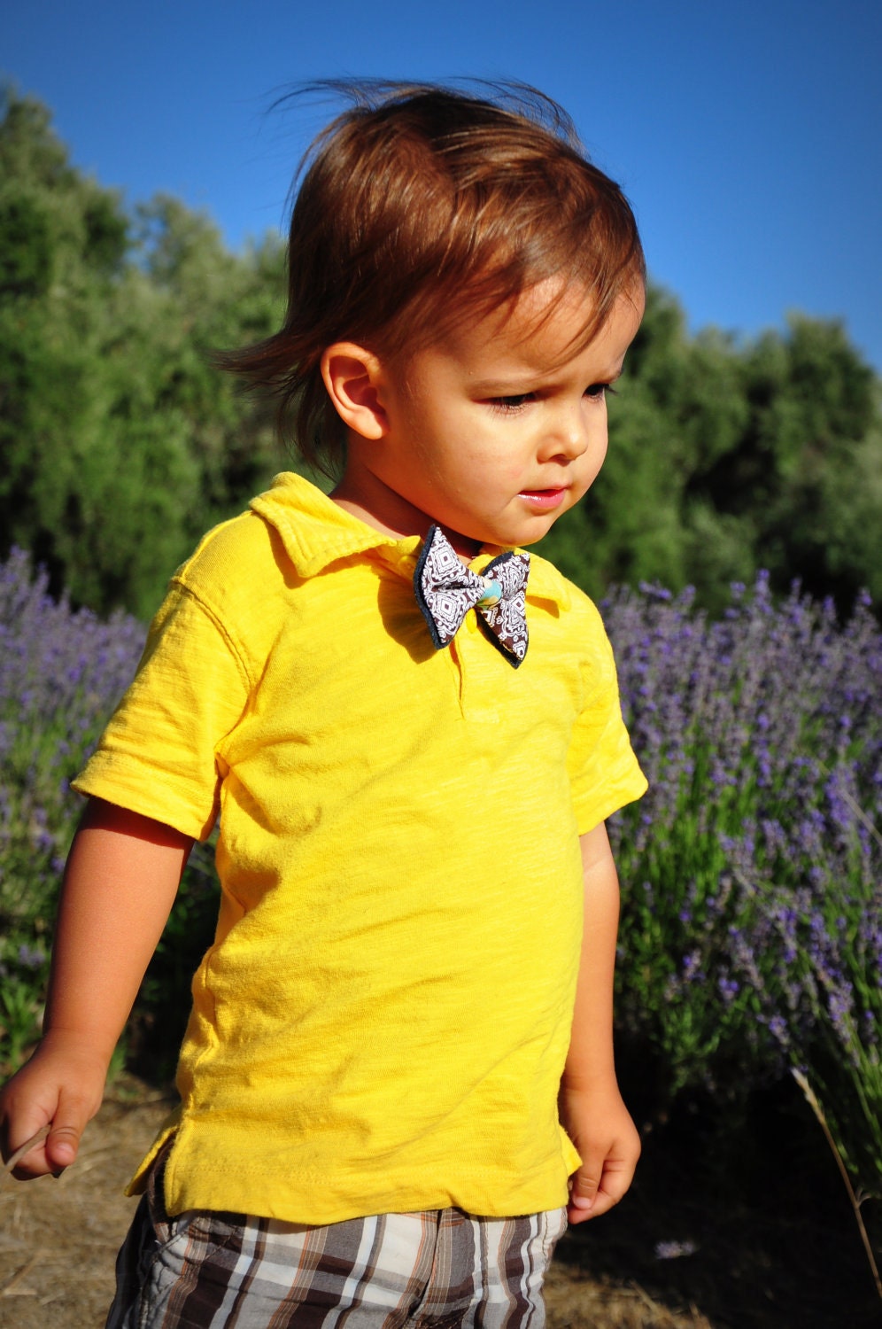 cheeky bow tie