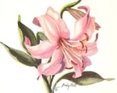 Pink Daylily Print Watercolor Painting