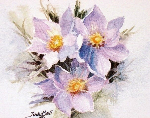 Crocus Pasque Flower Wildflower Watercolor Painting Print