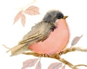 Pastel Pink Bird Watercolor Painting Print - judithbelloriginals