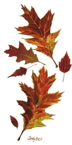 Autumn Maple - Oak Leaves Watercolor painting
