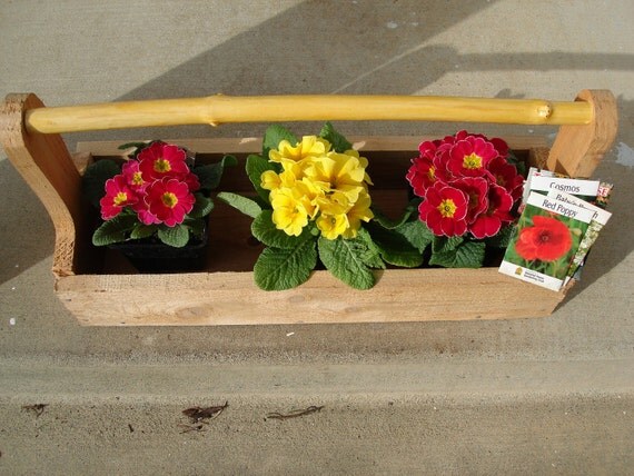 Free Shipping- End Summer Sale - Vintage Look Handmade Wooden Tool Box - Planter - Primitive - Cedar Box with Elderberry Limb Handle