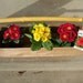 Free Shipping- End Summer Sale - Vintage Look Handmade Wooden Tool Box - Planter - Primitive - Cedar Box with Elderberry Limb Handle