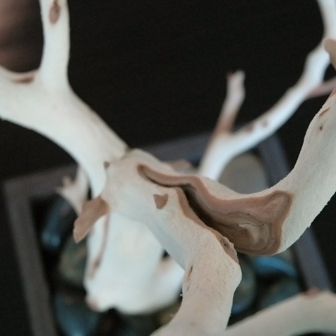 30" Natural Tree Jewelry holder