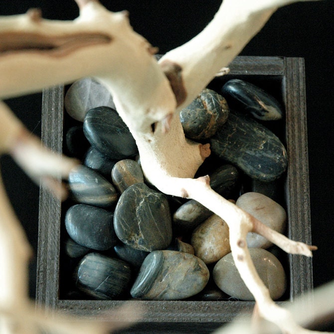 30" Natural Tree Jewelry holder