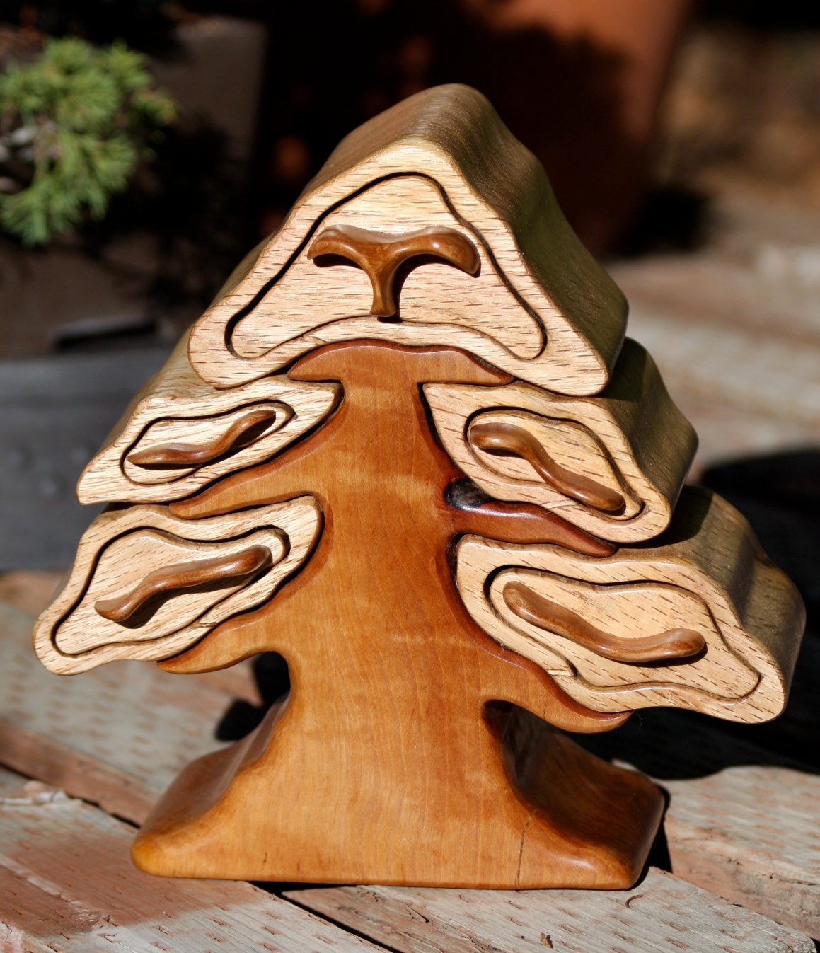 Jewelry Box of Black Oak & Madrone