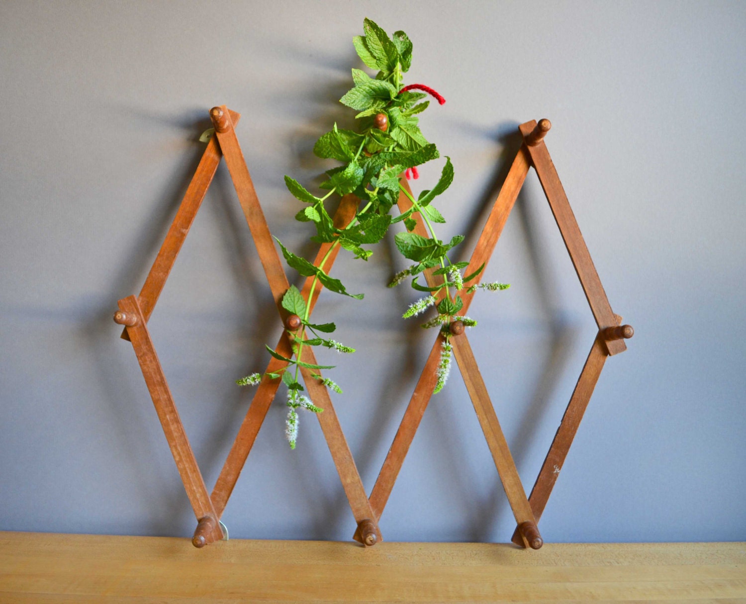 Vintage Wooden Peg Rack Tall Accordian