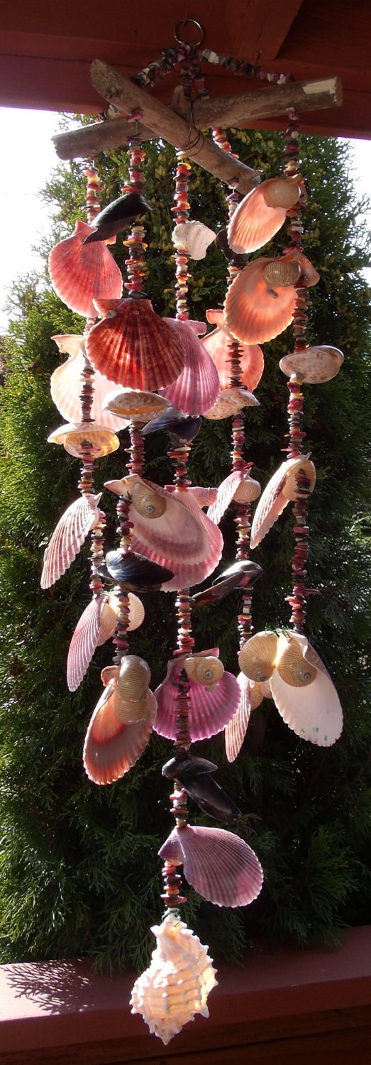 Sea Shell Wind Chime 10 Linear Nauticas & Nobilis by Eagle414