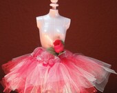 Give Barbie A New Look Red and White Barbie Doll TuTu With Red Mini Rose
