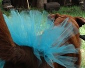 Turquiose Pet Tutu