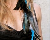 TWILIGHT (Turquoise, Black & Grizzly) Feather Extension Clip