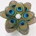Peacock Feather Flower Morning Star ONE for making DIY Brides Bouquets and Wedding Bouquets
