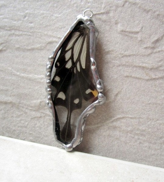 Real Butterfly Wing Pendant