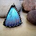 Butterfly Jewelry, Pendant, Morpho Zephyritis, Real Butterfly